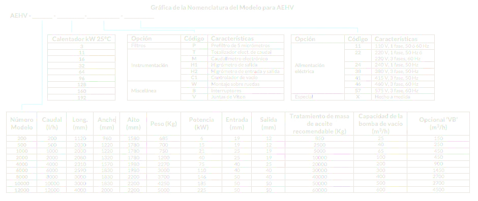 Gráfica de la Nomenclatura del Modelo para AEHV
